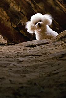 Darla