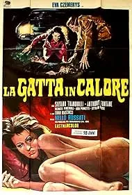 La gatta in calore ()