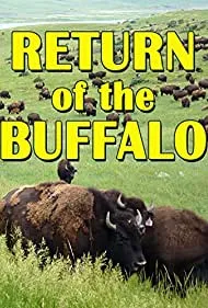 The Return of the Buffalo: Restoring the Great American Prairie (2008)