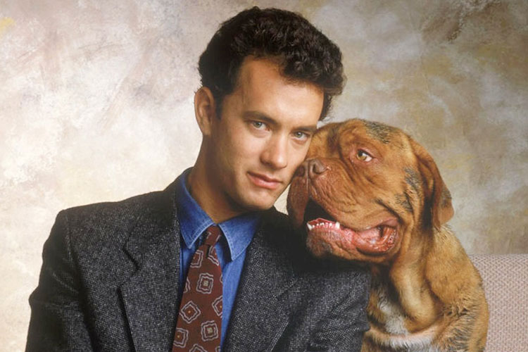 سریال Turner & Hooch / ترنر و هوچ