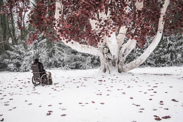 تصویر فصل هشتم سریال Game of Thrones