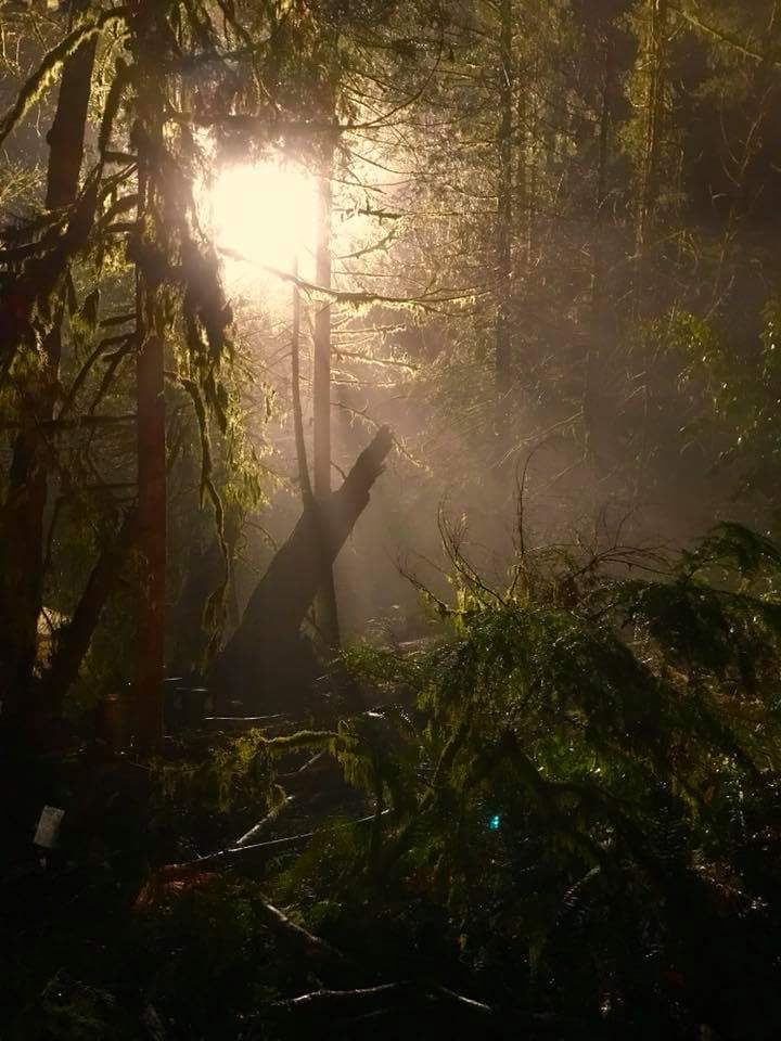 The Predator BTS Image