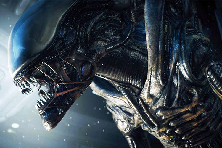 احتمال ساخت فیلم Alien 5 بسیار کم است