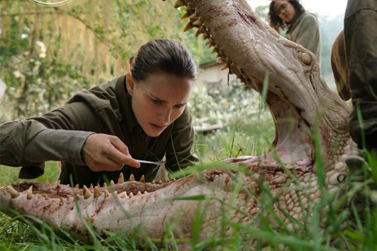 پوستری جدید از فیلم Annihilation منتشر شد