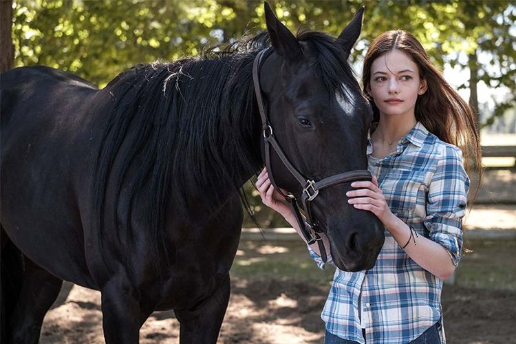 فیلم Black Beauty از دیزنی پلاس منتشر خواهد شد