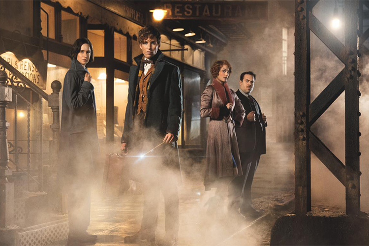 Fantastic Beasts and Where To Find Them