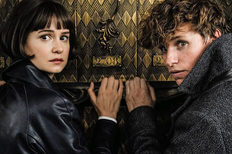 نویسنده جدید و زمان شروع فیلمبرداری فیلم Fantastic Beasts 3 مشخص شد