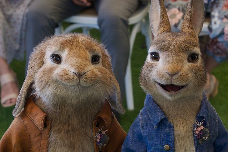 اولین تیزر تریلر فیلم Peter Rabbit 2: The Runaway منتشر شد
