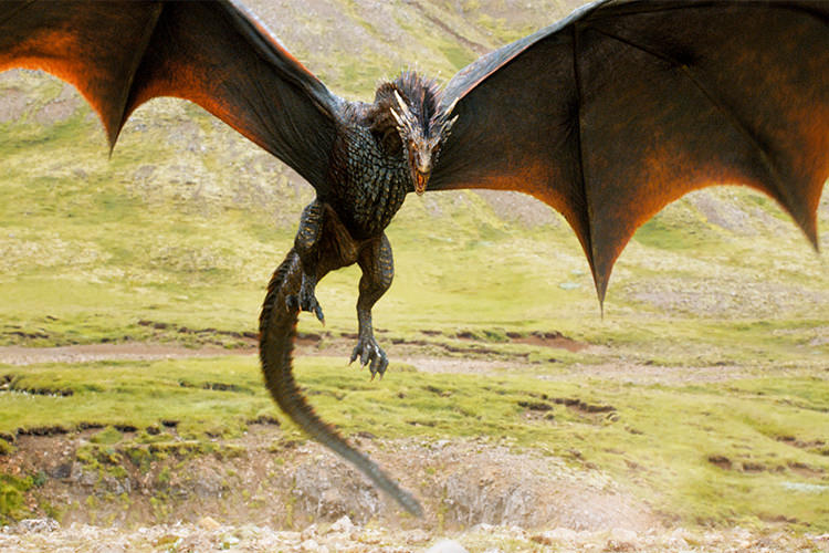 اندازه سه اژدهای سریال Game Of Thrones در فصل هفتم مشخص شد