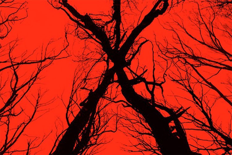 ویدیو جدید و ترسناکی از فیلم Blair Witch منتشر شد