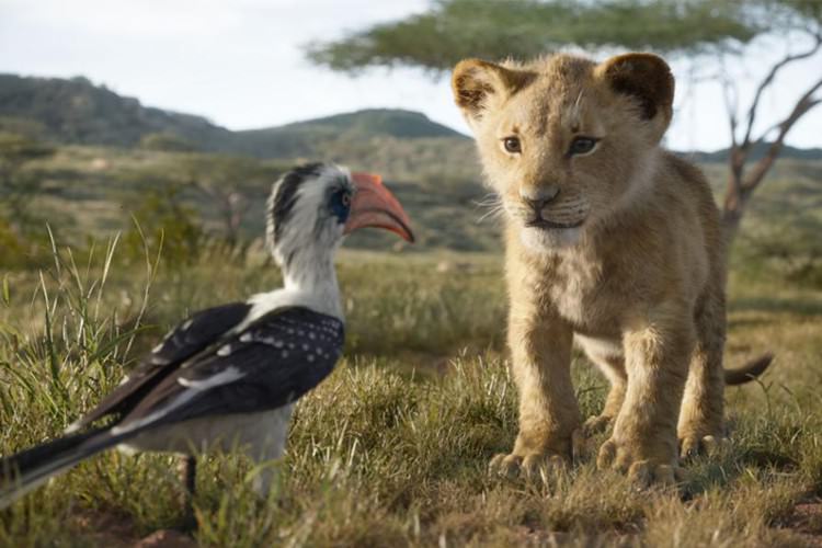 بازگشت سیمبا به خانه در تبلیغ تلویزیونی جدید فیلم شیر شاه