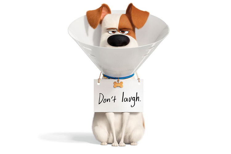 تریلر جدید انیمیشن The Secret Life of Pets 2 با محوریت اسباب بازی محبوب مکس