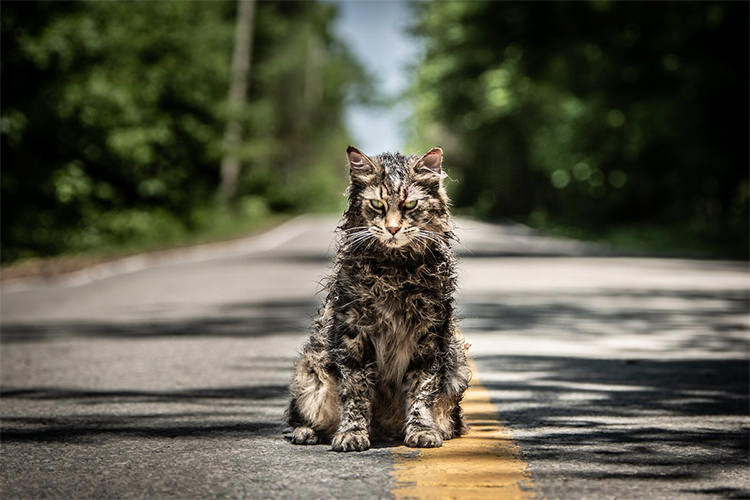 اولین پوستر رسمی فیلم Pet Sematary منتشر شد؛ تریلر اصلی فردا
