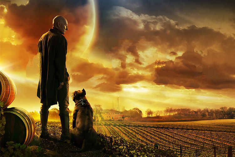 سریال Star Trek: Picard برای فصل دوم تمدید شد