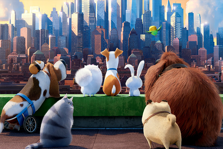 انیمیشن The Secret Life of Pets 2 برای اکران در سال ۲۰۱۸ رسما تایید شد