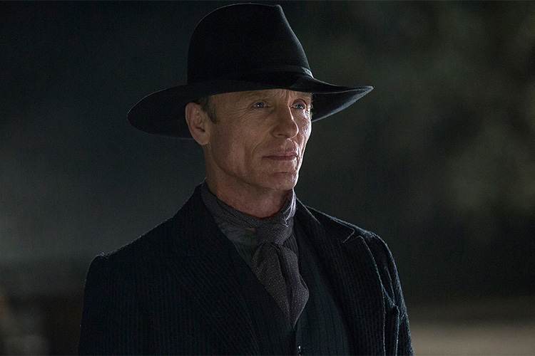 سریال Westworld از بازی‌ های ویدیویی نیز الهام گرفته است